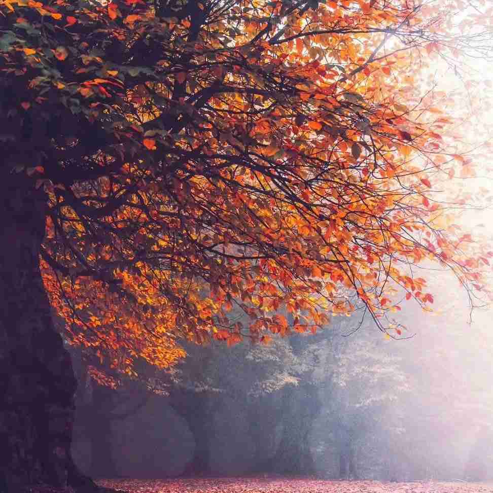 آهنگ جدید طوفان بله بله بله بله